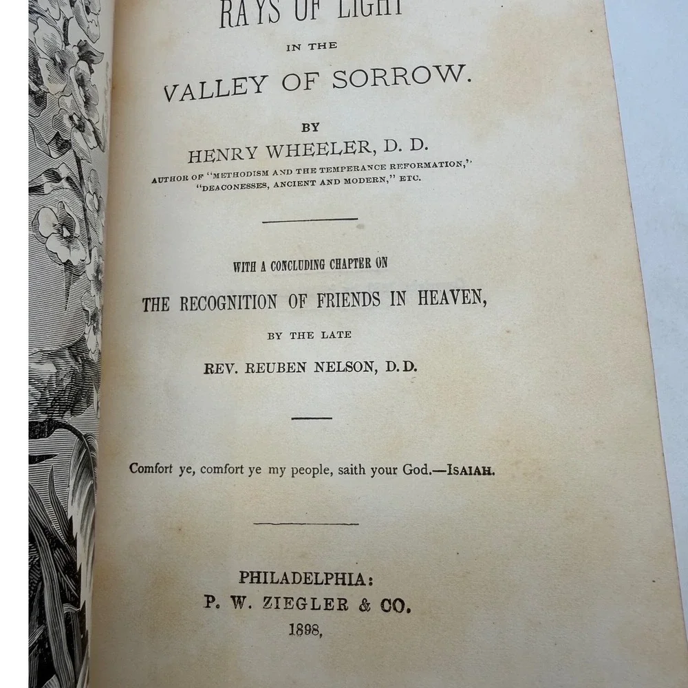 Rays of Light in the Valley of Sorrow‎ Henry Wheeler 1898 Religious Antique Book